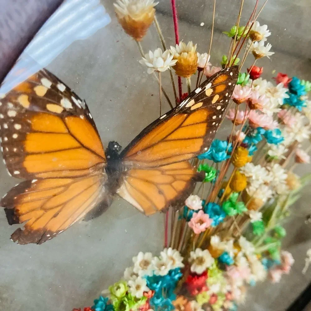 Vintage Dried Floral Butterfly Wood Framed Decor
